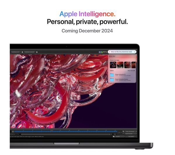 Apple MacBook Pro 14" (2024) M4 16GB RAM 512GB SSD Space Black – Pristine