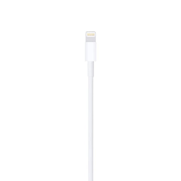Apple Lightning to USB Cable (1m) Generic