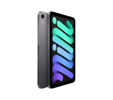 APPLE 8.3" iPad mini (2021) Wi-Fi - 256 GB Space Grey Acceptable