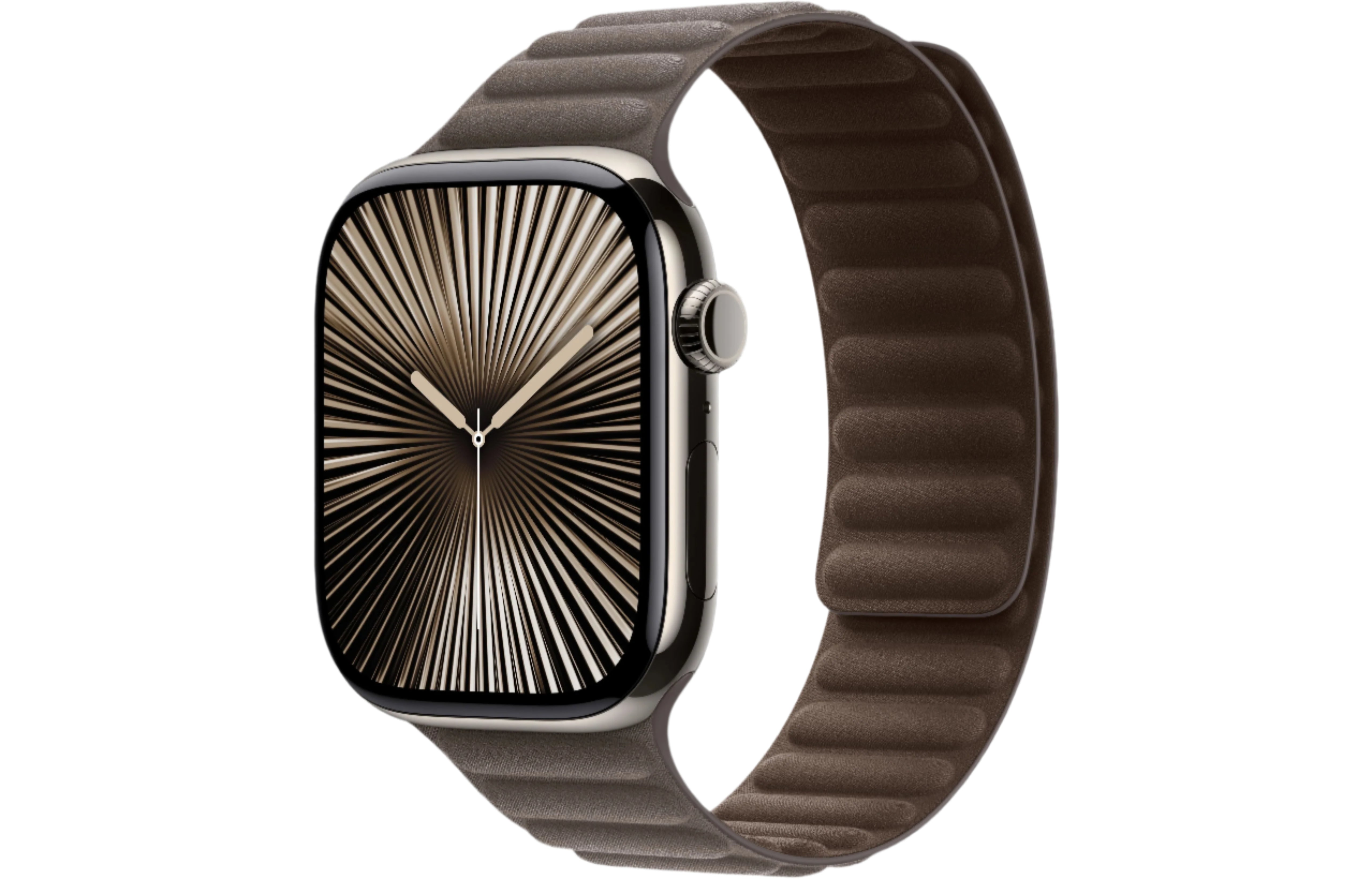Apple Watch Series 10  Natural Titanium Case with Dark Taupe Magnetic Link 
