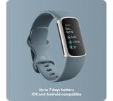 FITBIT Charge 5 Fitness Tracker - Steel Blue, Universal - Acceptable