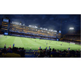 NINTENDO SWITCH EA Sports FC 25