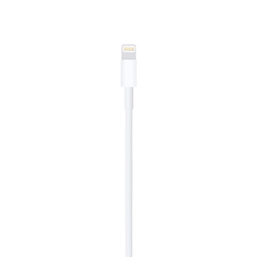 Apple Lightning to USB Cable (1m) Generic