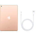 Apple iPad 10.2 (7th Gen) 32GB Wi-Fi + Cellular - Gold Pristine